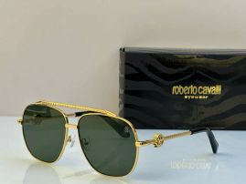 Picture of Roberto Cavalli Sunglasses _SKUfw55482484fw